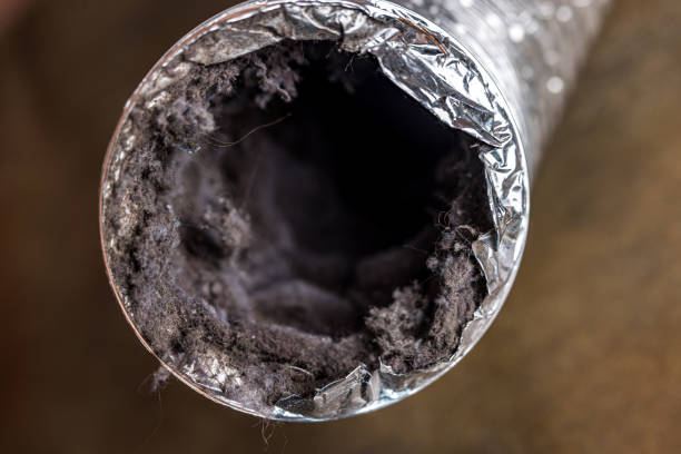 Best Residential Air Duct Cleaning  in Middleport, OH