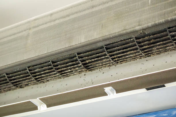 Best Local Air Duct Cleaning Services  in Middleport, OH