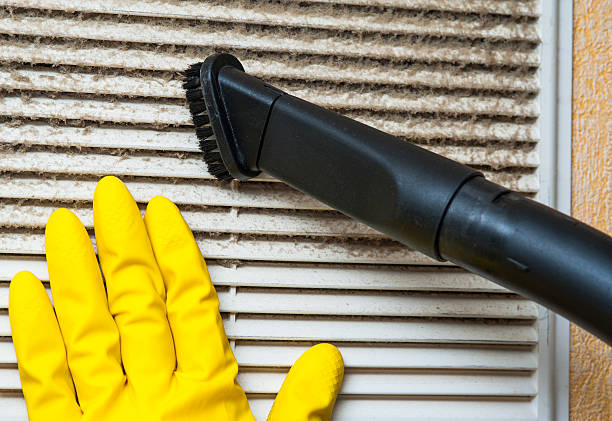 Best Dryer Vent Cleaning Services  in Middleport, OH